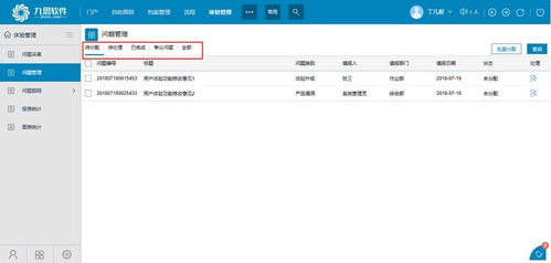 客戶體驗管理系統(tǒng) OA辦公自動化系統(tǒng)高端品牌 九思軟件
